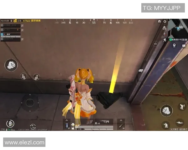 和平精英战场上的传奇逆袭EDG团队的奋斗与荣耀之路