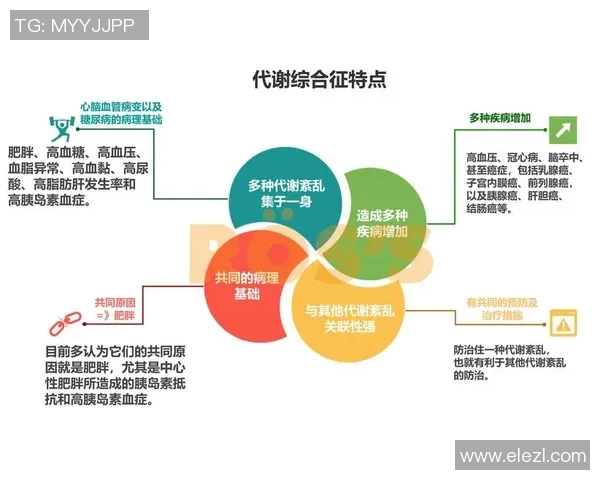 深入剖析BLG当前状态与竞争对手的差异与影响因素