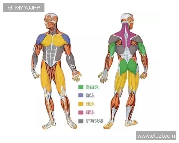 游泳锻炼助力身体健康 提升心肺功能与全身肌肉力量的最佳选择