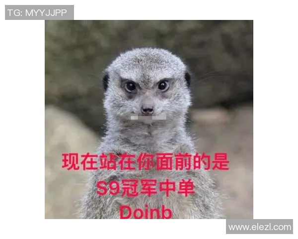 FPX战术变革引发热议王者荣耀新格局的崛起与挑战 FPX战术变革引发热议王者荣耀新格局的崛起与挑战